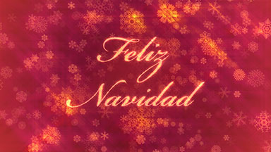 Feliz Navidad: Merry Christmas in Spanish