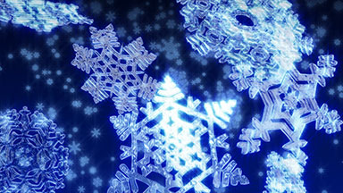 Big Christmas snowflakes loop