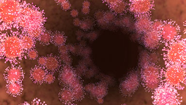 Coronavirus Fly-through Loop
