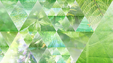 Nature Triangles Background Loop