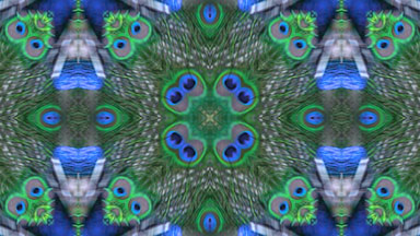 Psychedelic kaleidoscope of peacock showing off his tail feathers