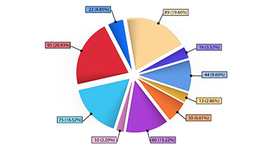 An animated 10-segment pie chart, Two versions
