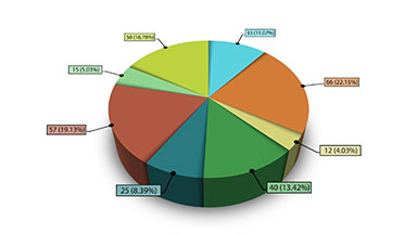 An animated 8-segment pie chart, Two versions
