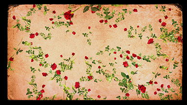 Falling red roses vintage style background loop