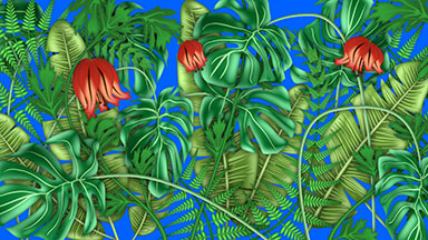 Tropical Plants, Monstera. Blue Screen
