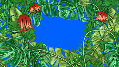 Tropical Plants Blue Screen with Copy Space
