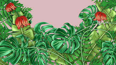 Tropical Plants, Monstera with Copy Space