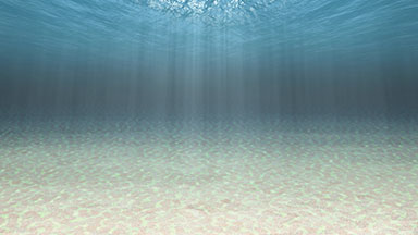 Underwater loop animation